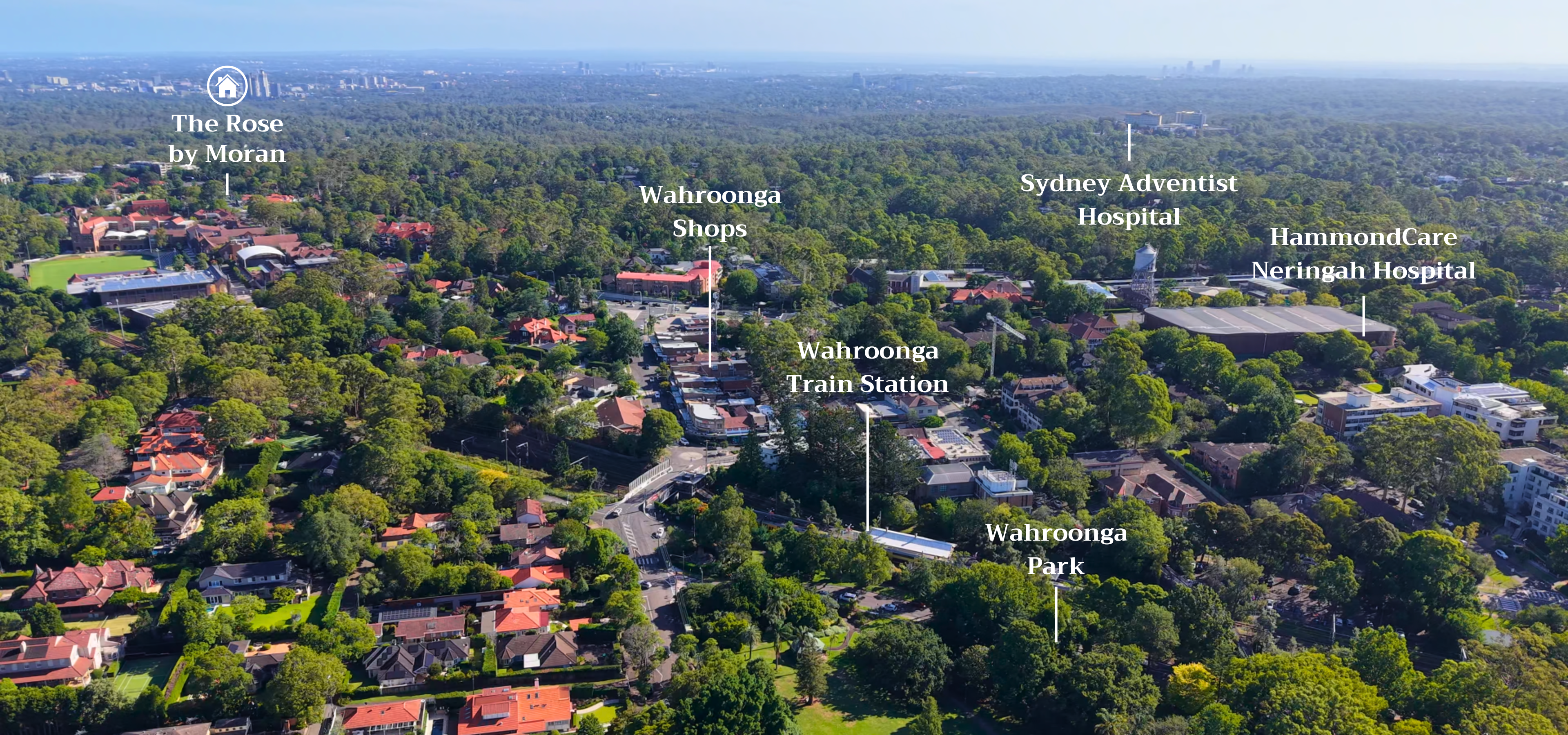 Wahroonga Area with The Rose by Moran